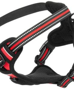 Frisco Padded Reflective Harness -PetNest Shop 266762 PT4. SY630 V1624549109