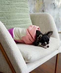 Frisco Colorblock Dog & Cat Hoodie with Sleeves -PetNest Shop 267963 PT6. SY630 V1637683593