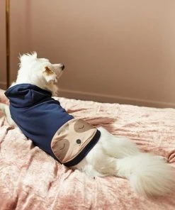 Frisco Sloth Pocket Dog & Cat Lightweight Hoodie -PetNest Shop 268017 PT6. SY630 V1637678902