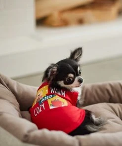 Frisco Warm & Cozy Dog & Cat T-Shirt -PetNest Shop 268582 PT5. SY630 V1637716601