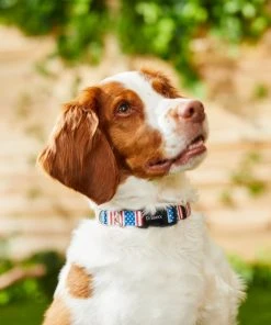 Frisco Americana Dog Collar -PetNest Shop 269430 PT3. SY630 V1619535733