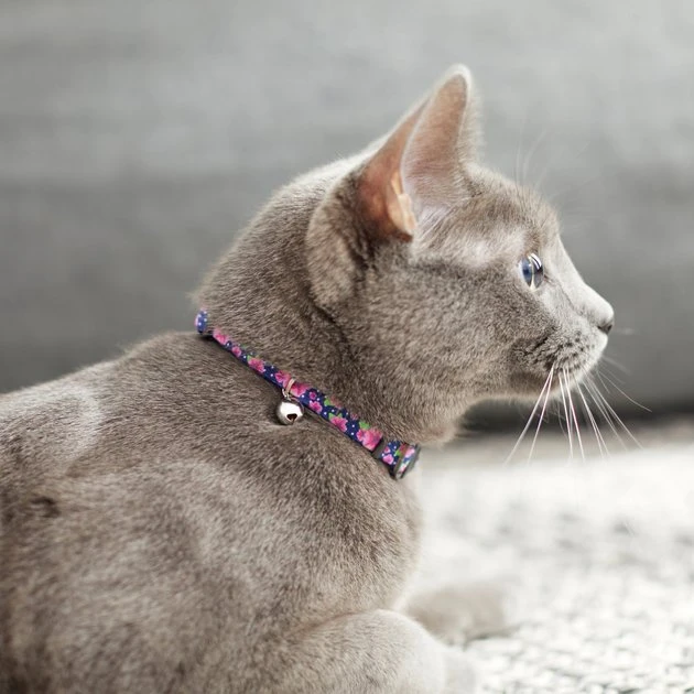 Frisco Midnight Floral Cat Collar, 8-12 Inches 6 Frisco Midnight Floral Cat Collar, 8-12 Inches - Image 4