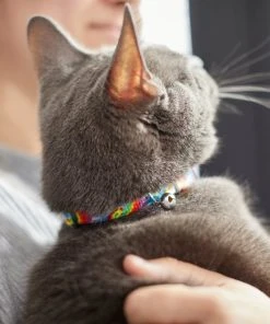 Frisco Tie Dye Cat Collar, 8-12 Inches -PetNest Shop 269494 PT4. SY630 V1617037394