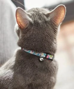 Frisco Spring Floral Cat Collar, 8-12 Inches -PetNest Shop 269498 PT4. SY630 V1617037453