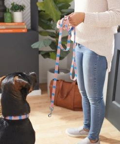 Frisco Americana Dog Leash -PetNest Shop 269502 PT3. SY630 V1619536665
