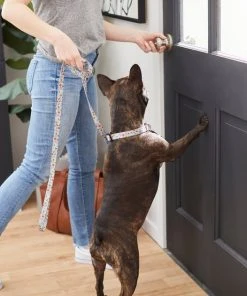 Frisco Traffic Signs Dog Leash 7 Frisco Traffic Signs Dog Leash -PetNest Shop 269506 PT3. SY630 V1619535428