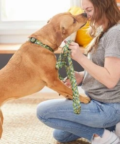 Frisco Tropical Bananas Dog Leash 7 Frisco Tropical Bananas Dog Leash -PetNest Shop 269522 PT3. SY630 V1619534324