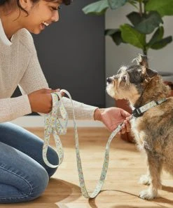 Frisco Ice Cream Party Dog Leash -PetNest Shop 269549 PT3. SY630 V1619537401