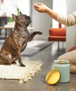 Frisco Modern Gold Rim Ceramic Treat Jar, 5 Cups -PetNest Shop 270182 PT2. SY630 V1620761610