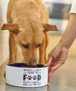 Frisco Food & Paw Non-skid Ceramic Dog Bowl 10 Frisco Food & Paw Non-skid Ceramic Dog Bowl -PetNest Shop 270194 PT2. SY630 V1620761622