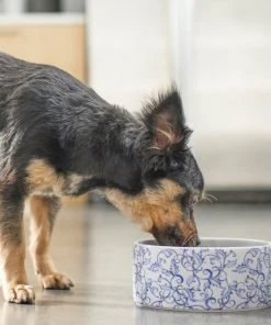 Frisco Blue Garden Non-skid Ceramic Dog Bowl -PetNest Shop 270197 PT2. SY630 V1620762069