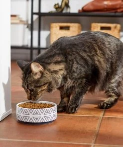 Frisco Tribal Aztec Non-skid Ceramic Dog & Cat Bowl -PetNest Shop 270217 PT3. SY630 V1620762202