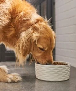 Frisco Geometric Non-skid Ceramic Dog Bowl -PetNest Shop 270224 PT2. SY630 V1620762188