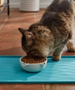 Frisco Cat Face Non-skid Ceramic Dog Bowl, White, 1.25 Cups -PetNest Shop 270229 PT3. SY630 V1620762318