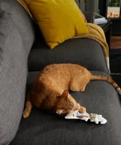 Frisco Halloween Good Witch, Bad Witch Reversible Plush Cat Toy with Catnip -PetNest Shop 270301 PT3. SY630 V1624824841