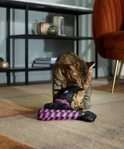 Frisco Halloween Witch Hat & Legs Plush Cat Toy with Catnip, 2 count -PetNest Shop 270305 PT3. SY630 V1624817161