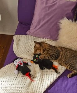 Frisco Vampire & Black Cat Plush Kicker Cat Toy with Catnip, 2 count -PetNest Shop 270307 PT3. SY630 V1624817053