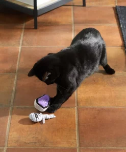 Frisco Halloween Mummy & Coffin Plush Cat Toy with Catnip, 2 count -PetNest Shop 270309 PT3. SY630 V1624817099