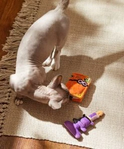 Frisco Halloween Monster Book & Candle Plush Cat Toy with Catnip, 2 count -PetNest Shop 270321 PT3. SY630 V1624824924