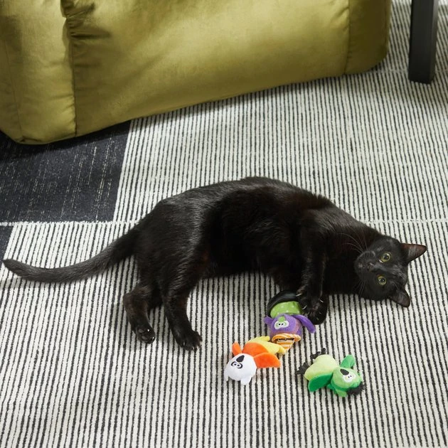 Frisco Halloween Owls Plush Cat Toy with Catnip, 3 count 5 Frisco Halloween Owls Plush Cat Toy with Catnip, 3 count - Image 3