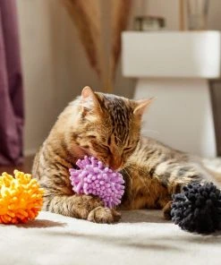 Frisco Halloween Moppy Ball Cat Toy with Catnip, 3 count 8 Frisco Halloween Moppy Ball Cat Toy with Catnip, 3 count -PetNest Shop 270337 PT3. SY630 V1624817812