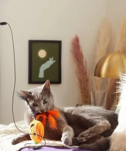 Frisco Halloween Teaser Wand Cat Toy with Catnip, 3 count -PetNest Shop 270341 PT3. SY630 V1624817557