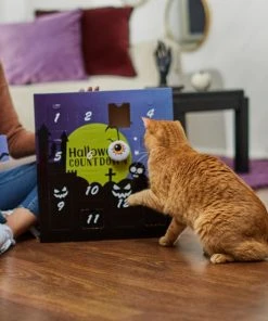 Frisco Halloween 13 Day Advent Calendar with Toys for Cats -PetNest Shop 270351 PT3. SY630 V1624817042