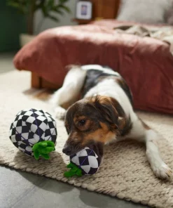 Frisco Halloween Fancy Pumpkin 2-in-1 Plush Squeaky Dog Toy 9 Frisco Halloween Fancy Pumpkin 2-in-1 Plush Squeaky Dog Toy -PetNest Shop 270359 PT3. SY630 V1624817665