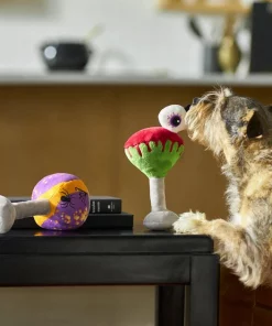 Frisco Halloween Cocktail Plush Squeaky Dog Toy, 2 count 7 Frisco Halloween Cocktail Plush Squeaky Dog Toy, 2 count -PetNest Shop 270361 PT3. SY630 V1624817495