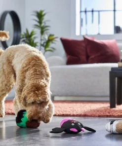 Frisco Cupcakes Plush Squeaky Dog Toy, 3 count -PetNest Shop 270367 PT3. SY630 V1624817674