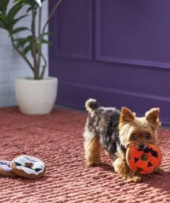 Frisco Halloween Donuts Plush Squeaky Dog Toy, 3 count -PetNest Shop 270369 PT3. SY630 V1624817409