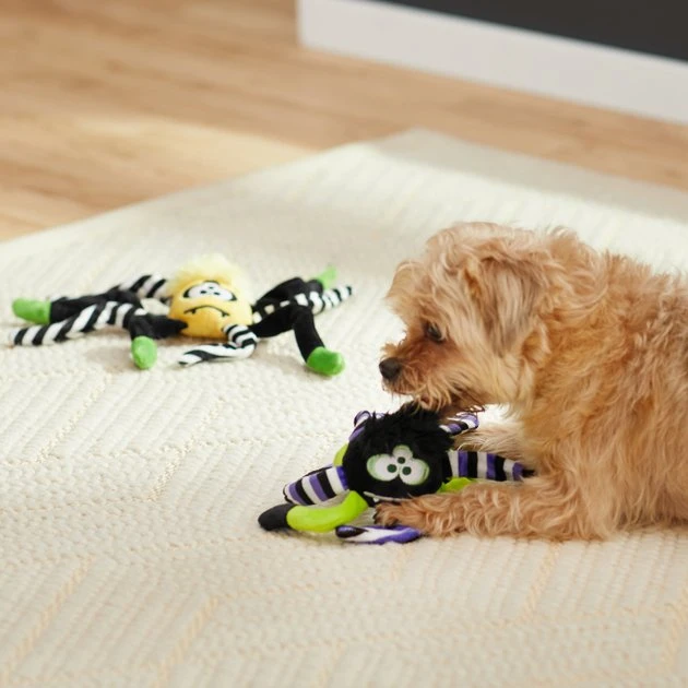 Frisco Spider Plush Squeaky Dog Toy 5 Frisco Spider Plush Squeaky Dog Toy - Image 3