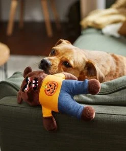 Frisco Halloween Good Bear, Bad Bear Reversible Plush Squeaky Dog Toy 9 Frisco Halloween Good Bear, Bad Bear Reversible Plush Squeaky Dog Toy -PetNest Shop 270427 PT3. SY630 V1624817723