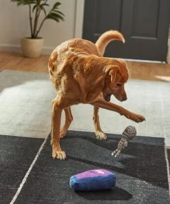 Frisco Halloween Mummy & Coffin Plush Squeaky Dog Toy, 2 count -PetNest Shop 270437 PT3. SY630 V1624817278