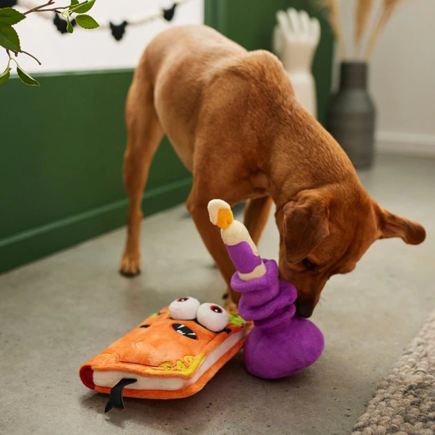 Frisco Halloween Monster Book & Candle Plush Squeaky Dog Toy, 2 count 5 Frisco Halloween Monster Book & Candle Plush Squeaky Dog Toy, 2 count - Image 3