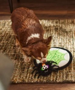 Frisco Spider's Web & Spider Flat Plush Interactive Squeaky Dog Toy, 2 count -PetNest Shop 270458 PT3. SY630 V1624817520