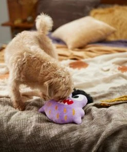 Frisco Friendly Monster Round Plush Squeaky Dog Toy 7 Frisco Friendly Monster Round Plush Squeaky Dog Toy -PetNest Shop 270468 PT3. SY630 V1624817404