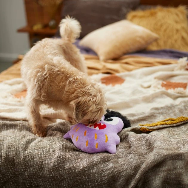 Frisco Friendly Monster Round Plush Squeaky Dog Toy 5 Frisco Friendly Monster Round Plush Squeaky Dog Toy - Image 3