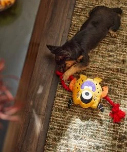 Frisco Friendly Monster Plush with Rope Squeaky Dog Toy -PetNest Shop 270474 PT3. SY630 V1624824917