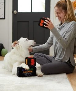 Frisco Halloween 30 Days of Halloween Countdown Blocks Plush Squeaky Dog Toy, 3 count -PetNest Shop 270494 PT3. SY630 V1624817483