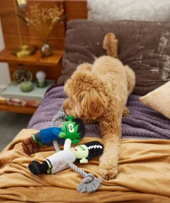 Frisco Frankenstein & Bride Plush with Rope Squeaky Dog Toy -PetNest Shop 270496 PT3. SY630 V1624824775