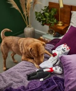 Frisco Sugar Skull Bride & Groom Plush Squeaky Dog Toy, 2 count -PetNest Shop 270498 PT3. SY630 V1624817356