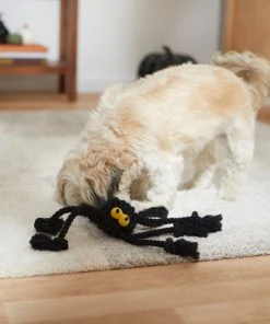 Frisco Halloween Spider Rope Dog Toy -PetNest Shop 270504 PT3. SY630 V1624825021