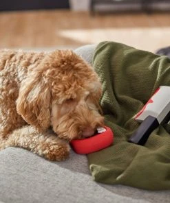 Frisco Halloween Vampire Teeth & Knife Latex Squeaky Dog Toy, 2 count -PetNest Shop 270512 PT3. SY630 V1624817093