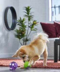 Frisco Halloween Sugar Skulls Latex Squeaky Dog Toy, 2 count -PetNest Shop 270518 PT3. SY630 V1624825050