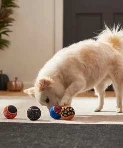 Frisco Halloween Glow in the Dark Fetch Squeaky Tennis Ball Dog Toy, 4 count -PetNest Shop 270525 PT3. SY630 V1624824980