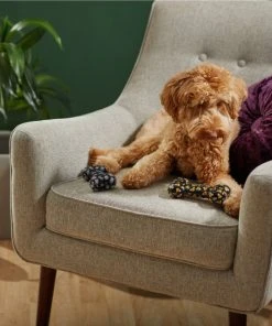 Frisco Halloween Candy Corn & Ghosts TPR Bone Squeaky Dog Toy, 2 count 7 Frisco Halloween Candy Corn & Ghosts TPR Bone Squeaky Dog Toy, 2 count -PetNest Shop 270529 PT3. SY630 V1624817291