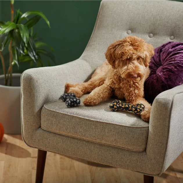 Frisco Halloween Candy Corn & Ghosts TPR Bone Squeaky Dog Toy, 2 count 5 Frisco Halloween Candy Corn & Ghosts TPR Bone Squeaky Dog Toy, 2 count - Image 3