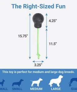 Frisco Skull with Rope Rubber Dog Toy -PetNest Shop 270531 PT1. SY630 V1626284498