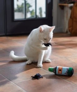 Frisco Camping Bug Spray Plush Cat Toy with Catnip, 3 count -PetNest Shop 270969 PT3. SY630 V1625009346